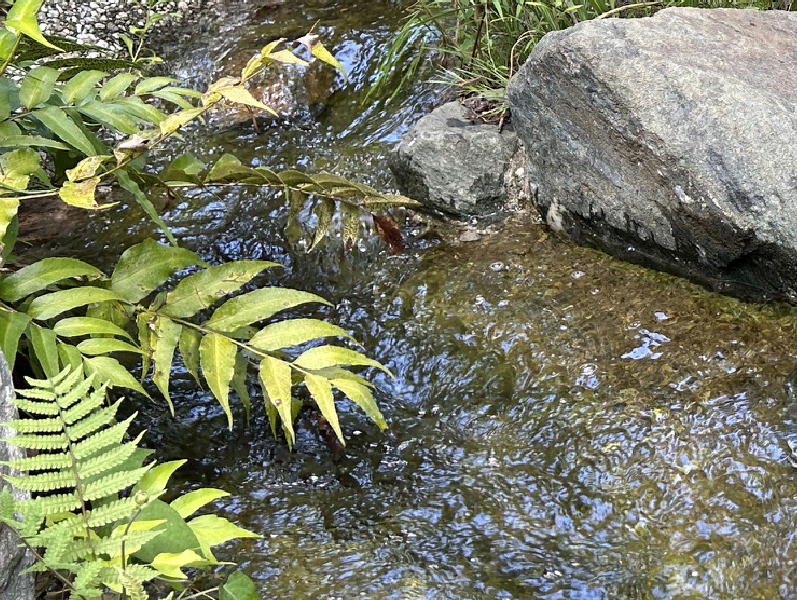  檜町公園 
